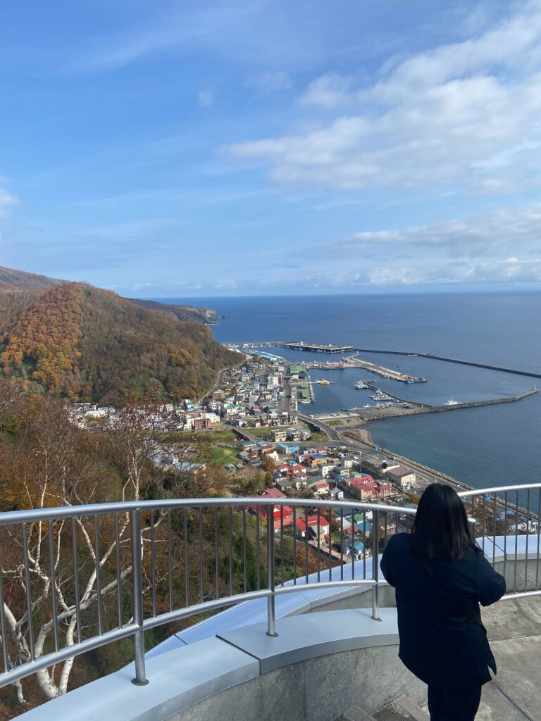 初めての景色の様子（1枚目）