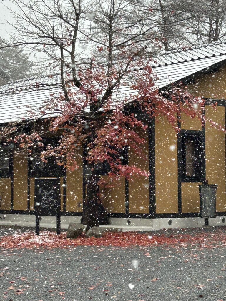 珍しい雪景色の様子(1枚目)