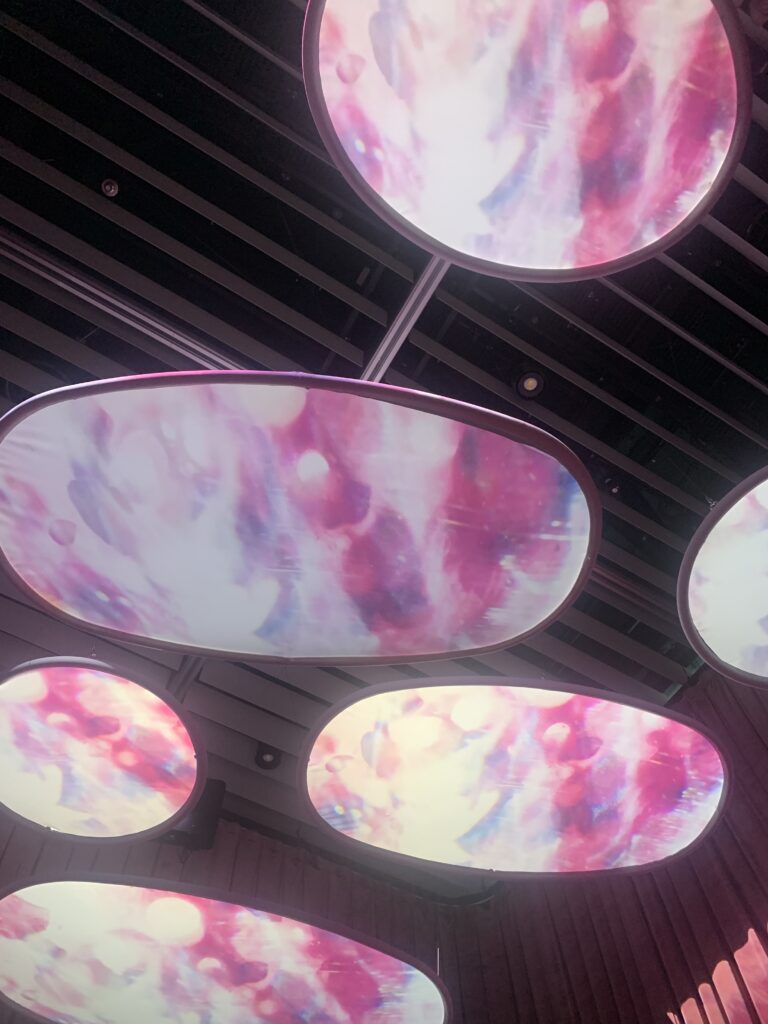 蜷川実花展の様子（3枚目）