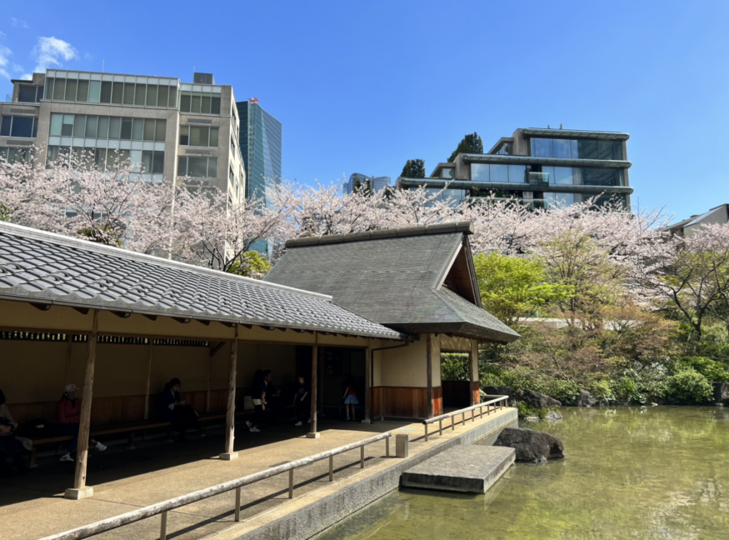 社員のランチ紹介の様子(2枚目)