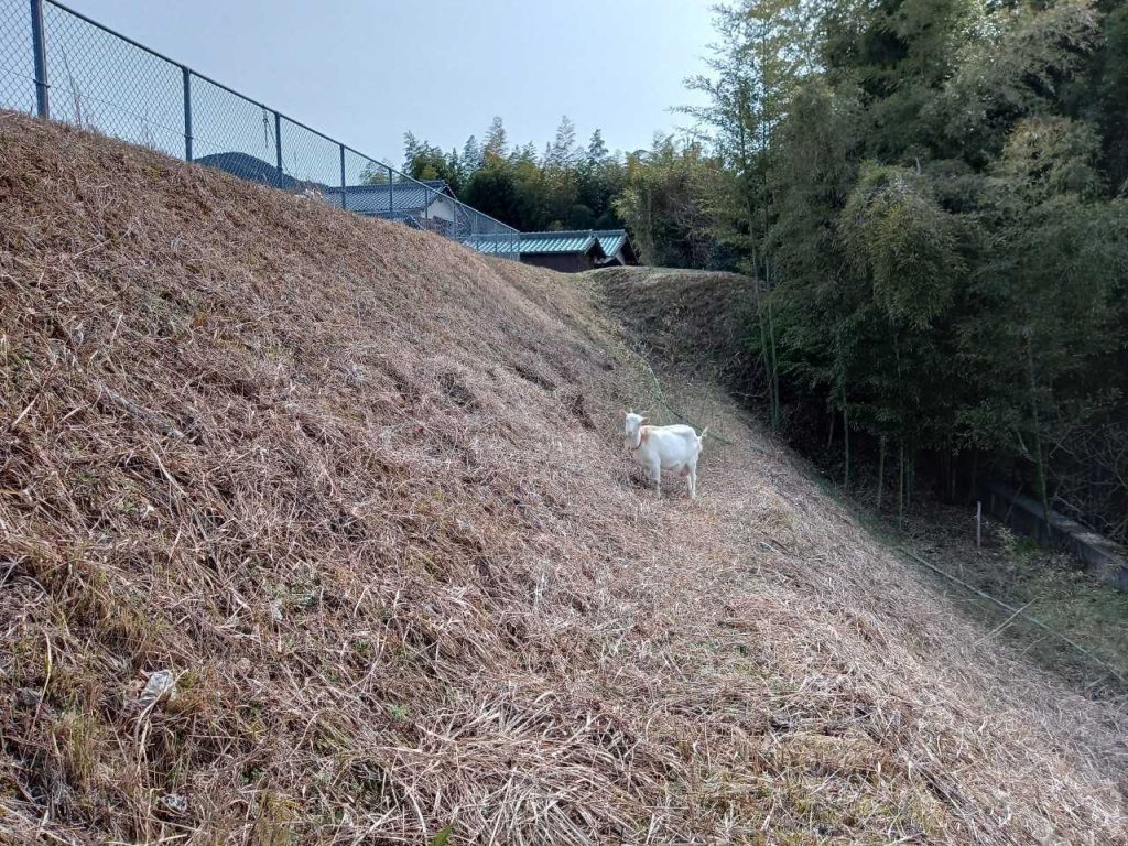 〇〇と遭遇の様子