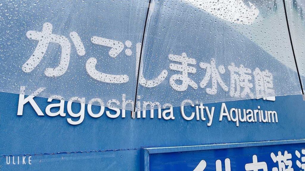 かごしま水族館の様子(1枚目)