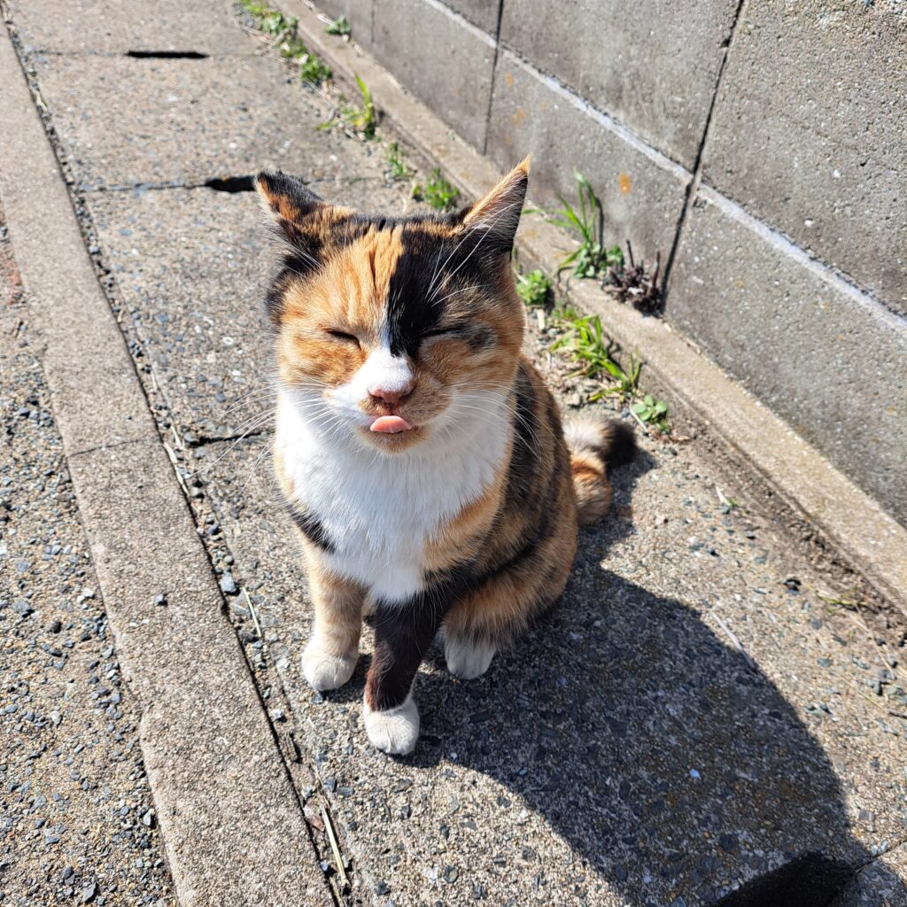社員の休日の様子（3枚目）